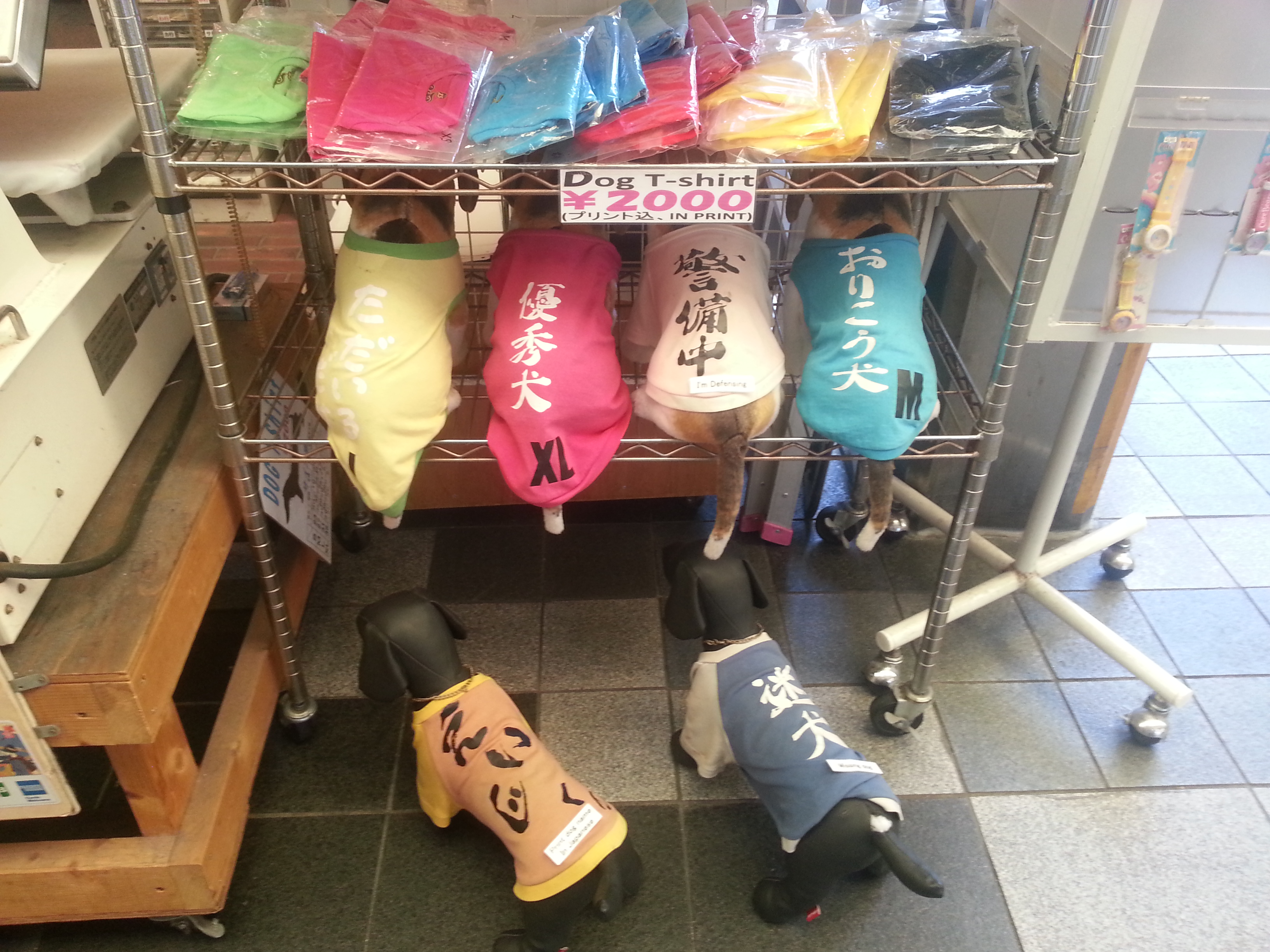 Dog t-shirt Dog t-shirt